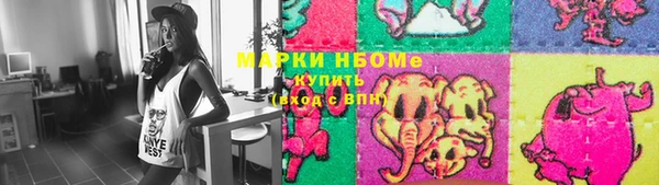 хмурый Няндома