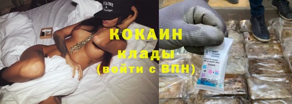 хмурый Няндома