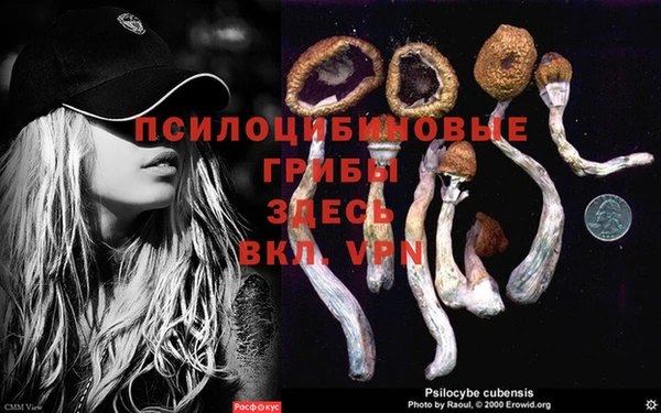 хмурый Няндома