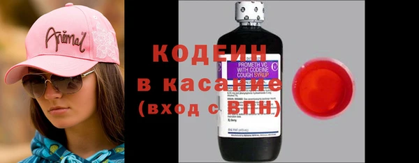 хмурый Няндома