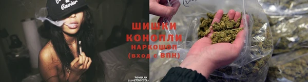 хмурый Няндома