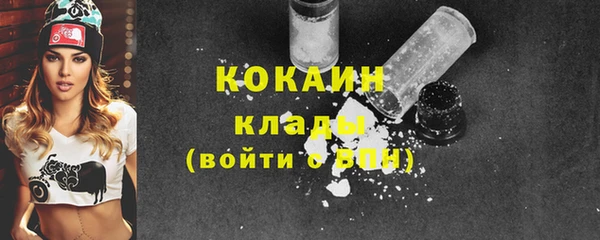 хмурый Няндома