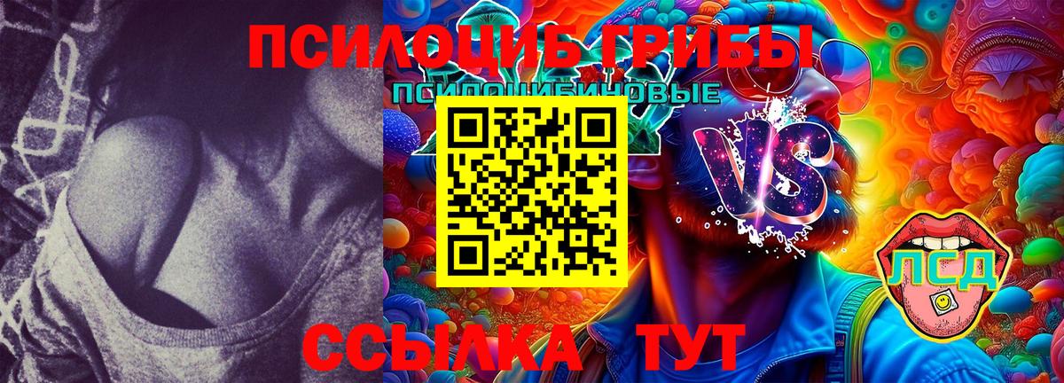 Галлюциногенные грибы MAGIC MUSHROOMS Удомля