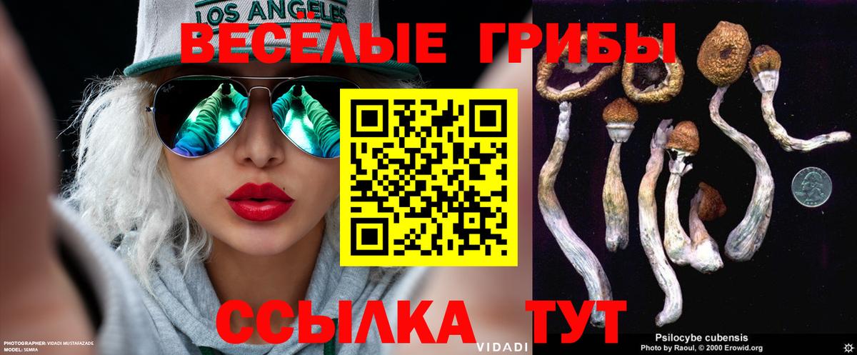 Псилоцибиновые грибы Psilocybine cubensis Удомля